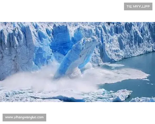 探秘冰虎宝宝的极地世界揭开它们生存之谜与独特魅力 探秘冰虎宝宝的极地世界揭开它们生存之谜与独特魅力